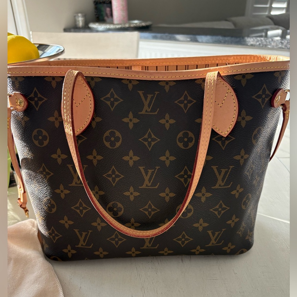 Louis Vuitton Neverfull PM